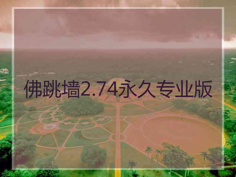 佛跳墙2.74永久专业版